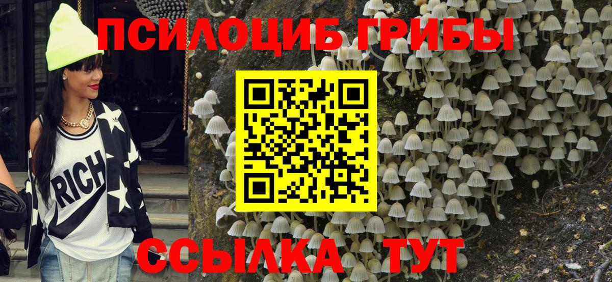 Псилоцибиновые грибы Psilocybine cubensis  Вход с VPN  Избербаш 