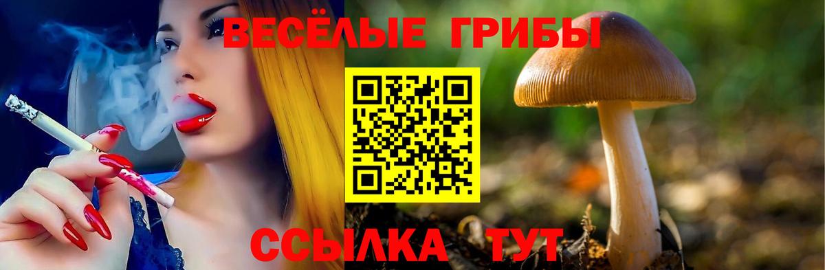 Галлюциногенные грибы MAGIC MUSHROOMS Избербаш